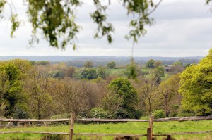 Our large garden has a great view over Ashdown Forest